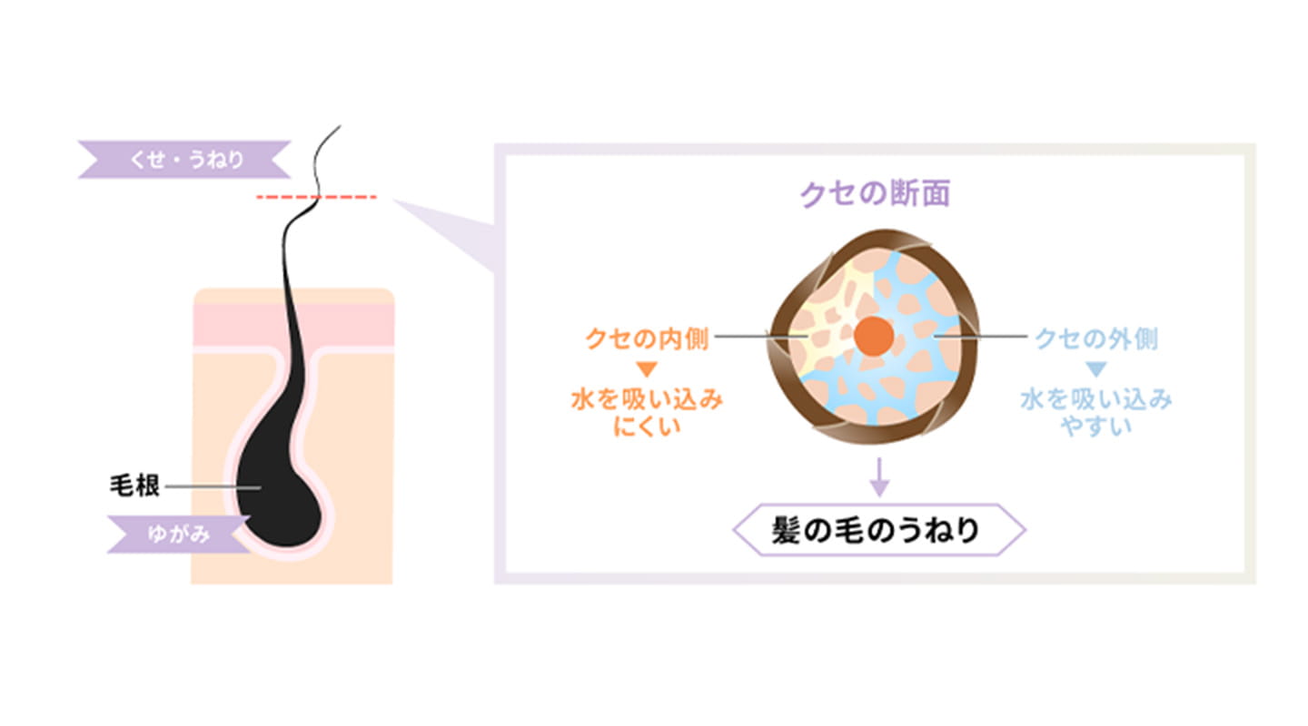 髪のうねりとは？
