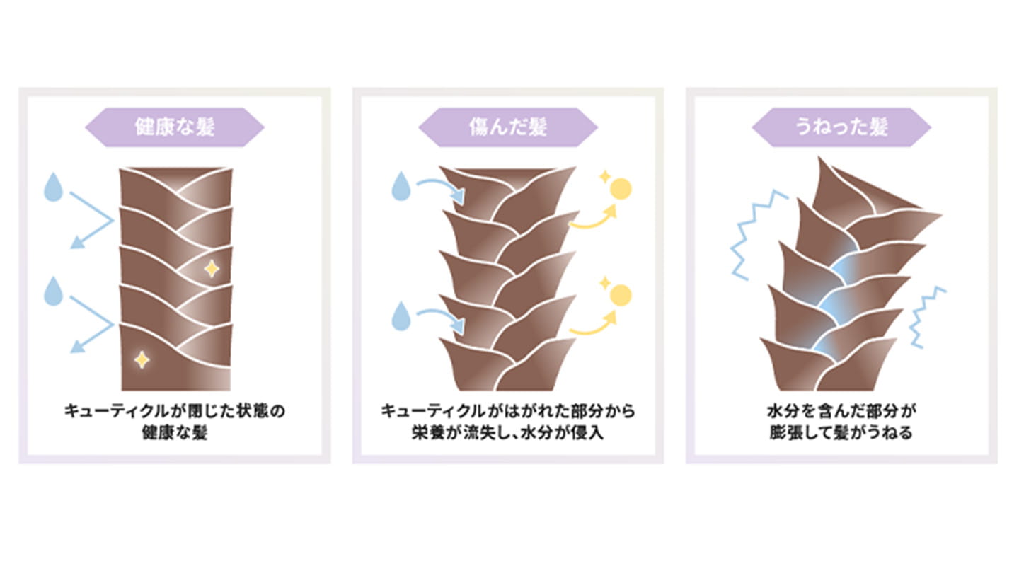 「髪が広がる」とはどういう状態？