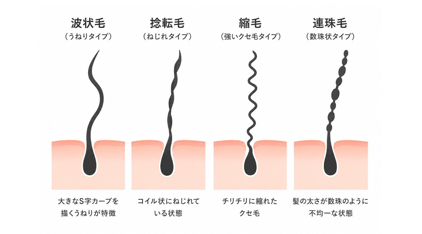 あなたの髪質タイプをチェック