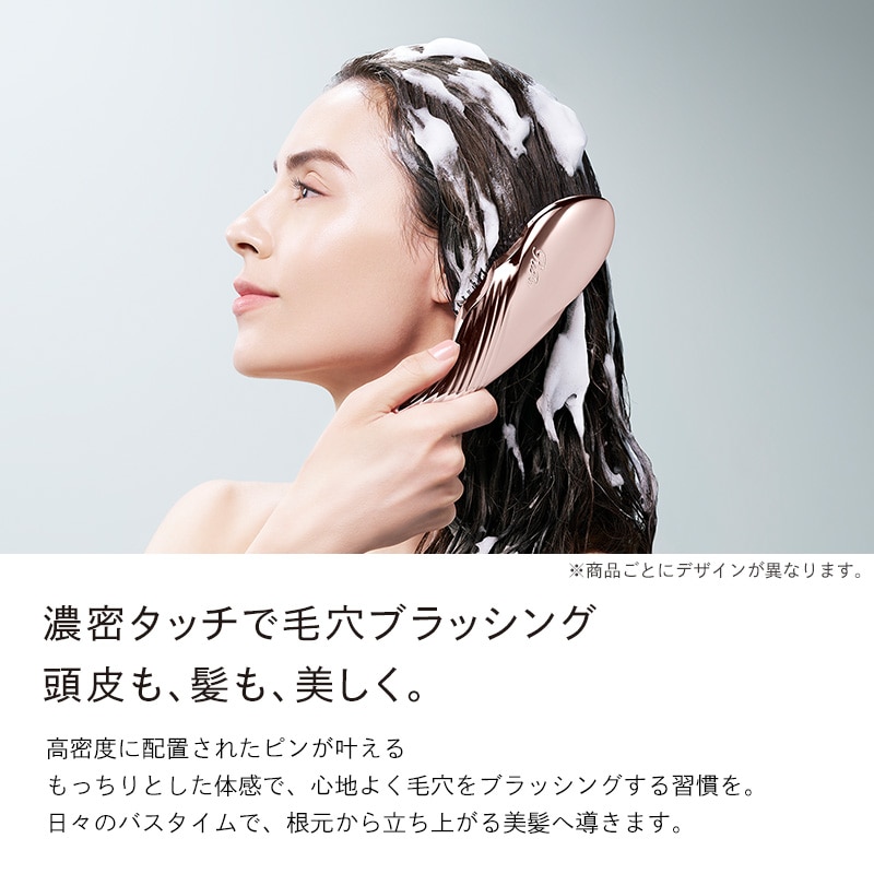 リファイオンケアブラシプレミアム(ブラック)