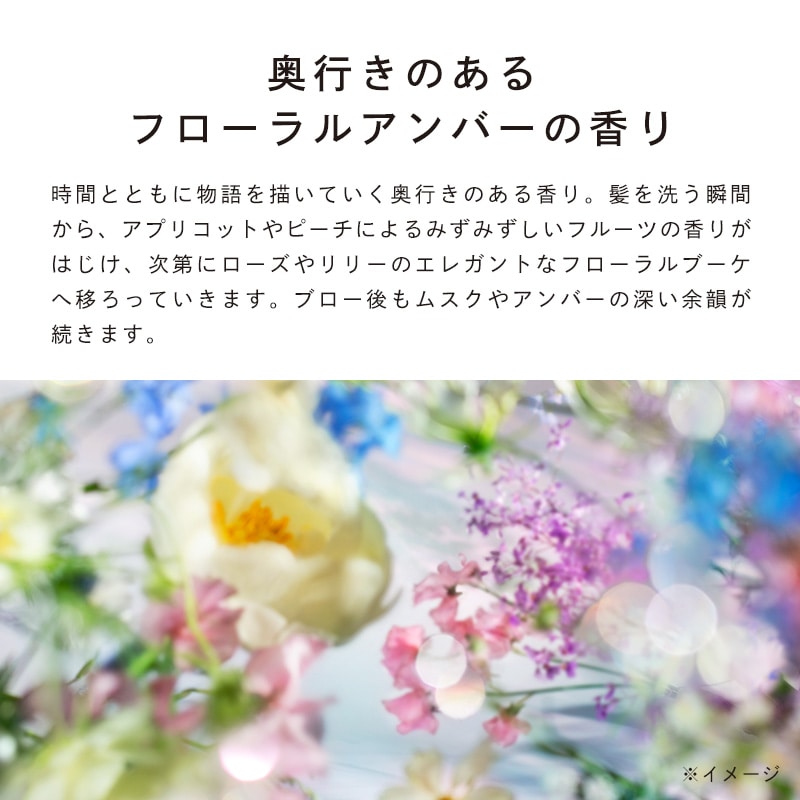 リファビューテックシャンプー 500mL