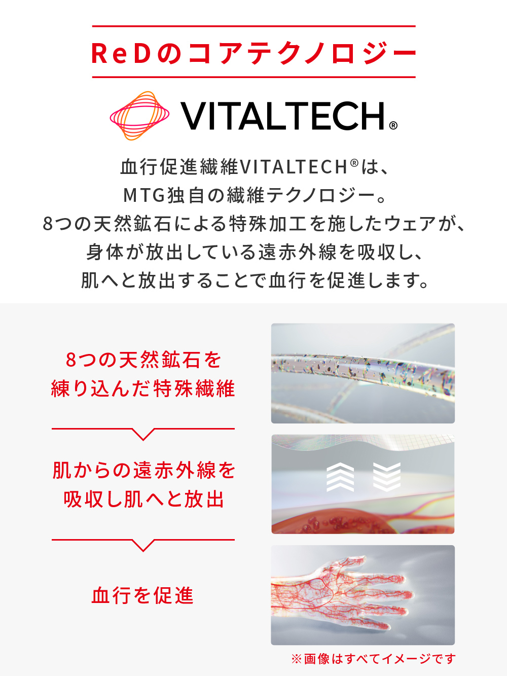 ReD バイタルテック タイツ 腰コリ改善 ブラック L ブラック L
