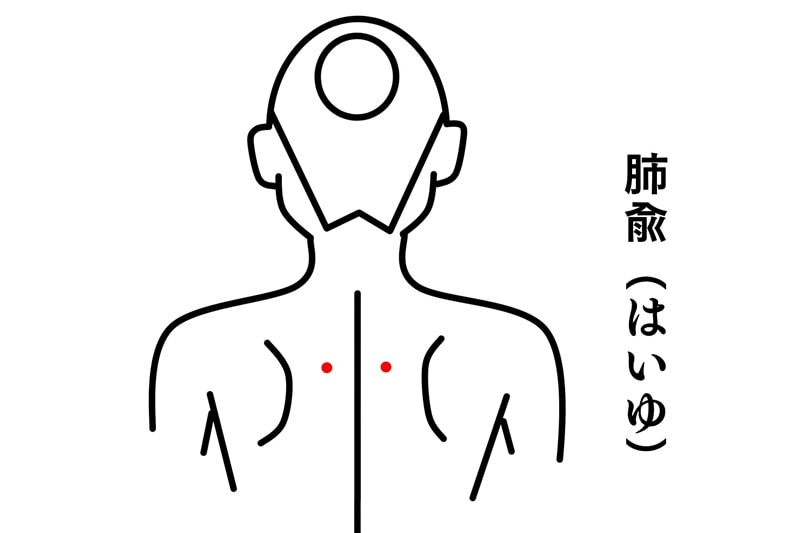 肺兪