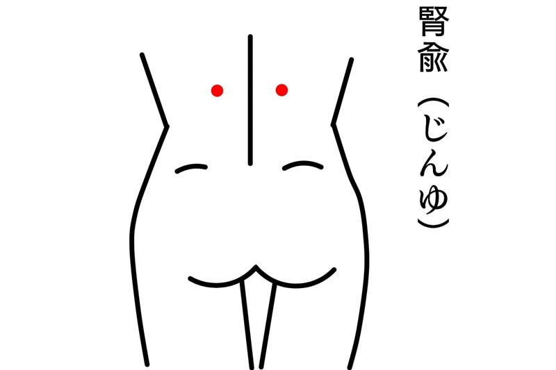 腎兪