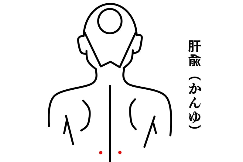 肝兪