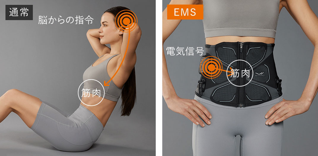 EMSは、電気刺激で筋肉を鍛えるテクノロジー