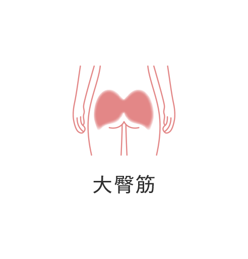 Hip Fitのトレーニング部位画像