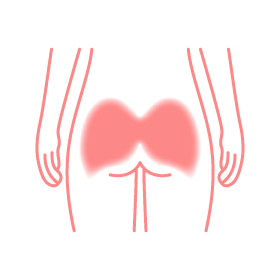 大臀筋