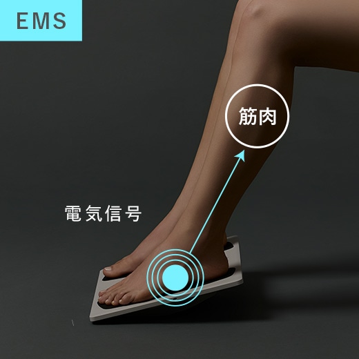 EMS 電気信号